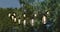 16ct. Shatterproof Black Edison Bulbs LED String Lights by Ashland®